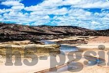 免费赚钱抢庄牛牛-免费赚钱抢庄牛牛的乐趣与策略