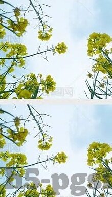 足球比分网动画直播-足球比分网动画直播，科技赋能下的沉浸式观赛新体验
